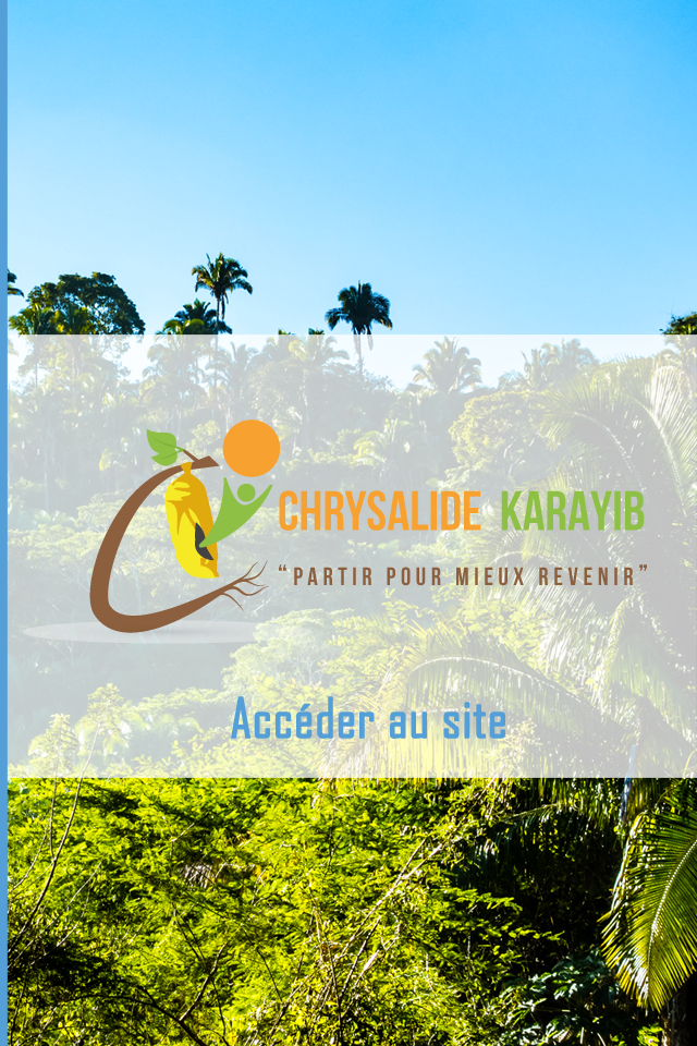 Acajou Chrysalide